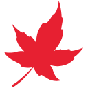Lincoln Fire Department logo